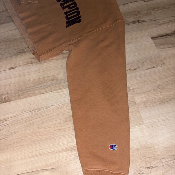 Dyed Tan and Plum Champion Crop SweatShirt - Picture 8 of 8